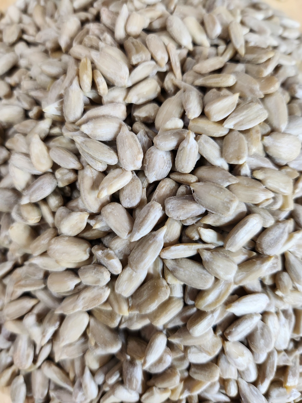 (주)마름 견과류 하루견과 건강관리 해바라기씨, 100g, 1개 - 메인 이미지