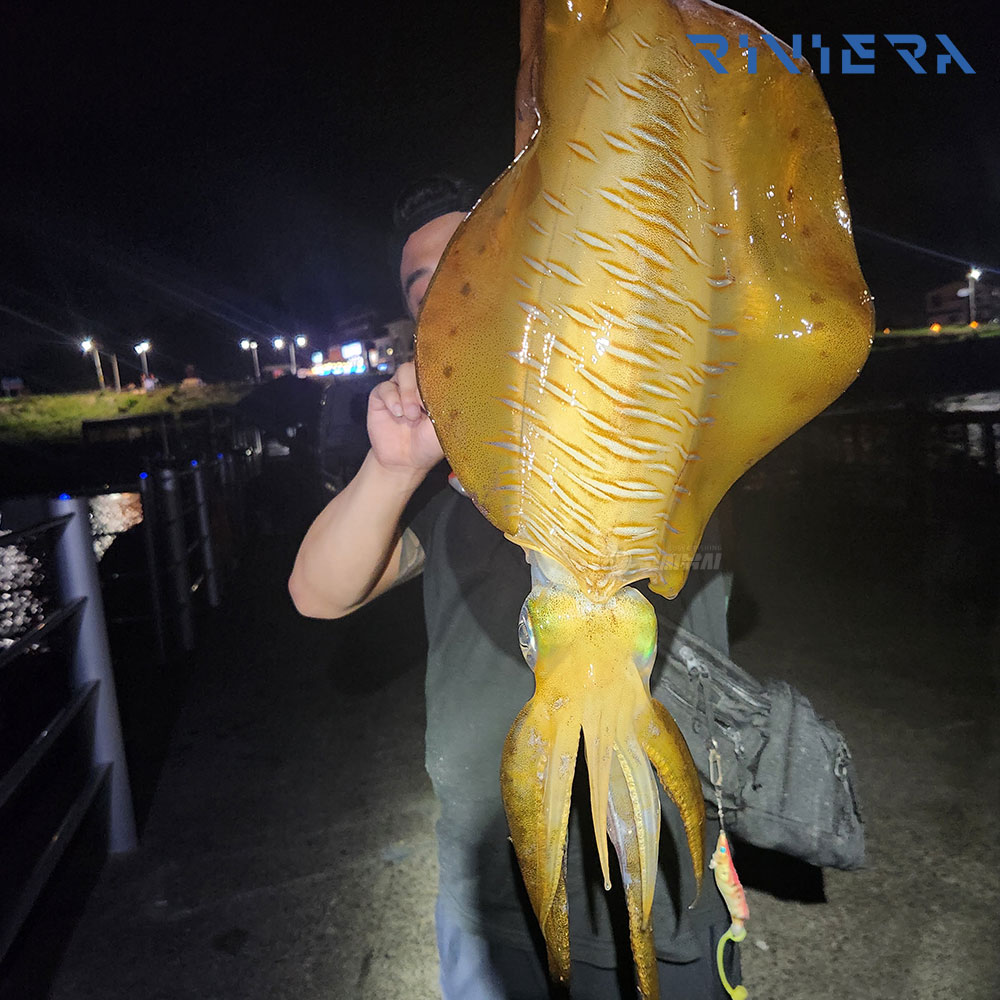 리비에라 이네오스 에깅 무늬오징어 에깅 낚시대 에깅대 워킹 로드 S-772 - 상세 이미지 2