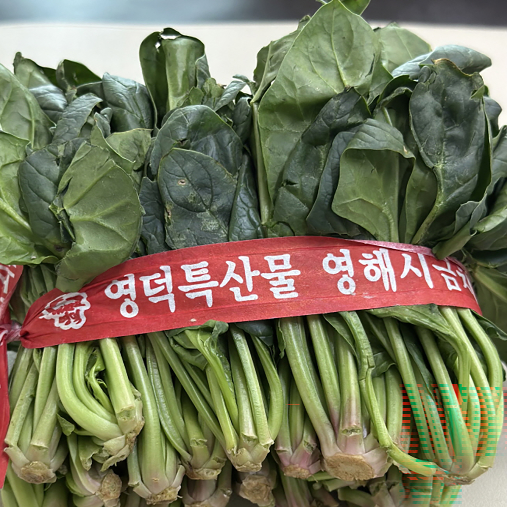 포항 영덕 해풍 영해초 노지 시금치 - 상세 이미지 3