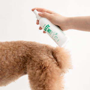 헤잇미 강아지진드기퇴치제 스프레이 강아지해충방지 애견 벌레기피제 솔직 후기 | 실제 사용자 리뷰 총정리 - 상품 이미지 3