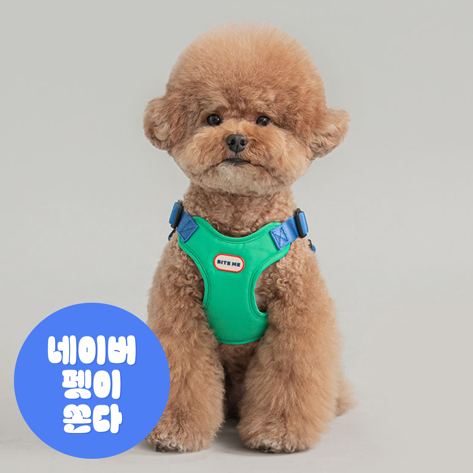 컴포트 강아지 하네스 핸즈프리 리쉬 리드줄 세트