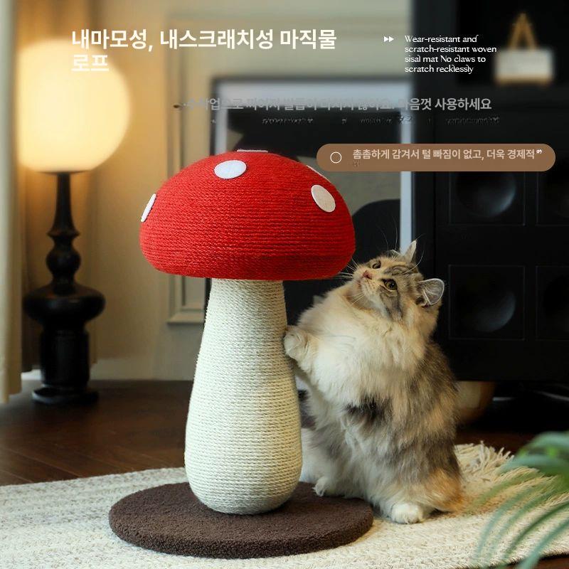 대형 중형 고양이 컬러풀 공간절약형 특대형 레드 보드 풀 시잘