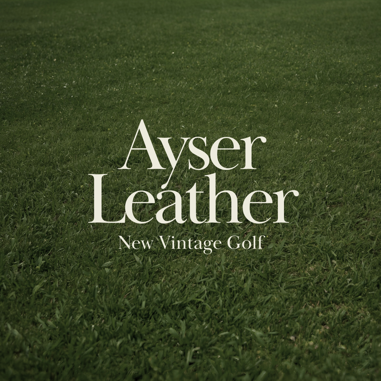 에이서 레더 스토어 로고