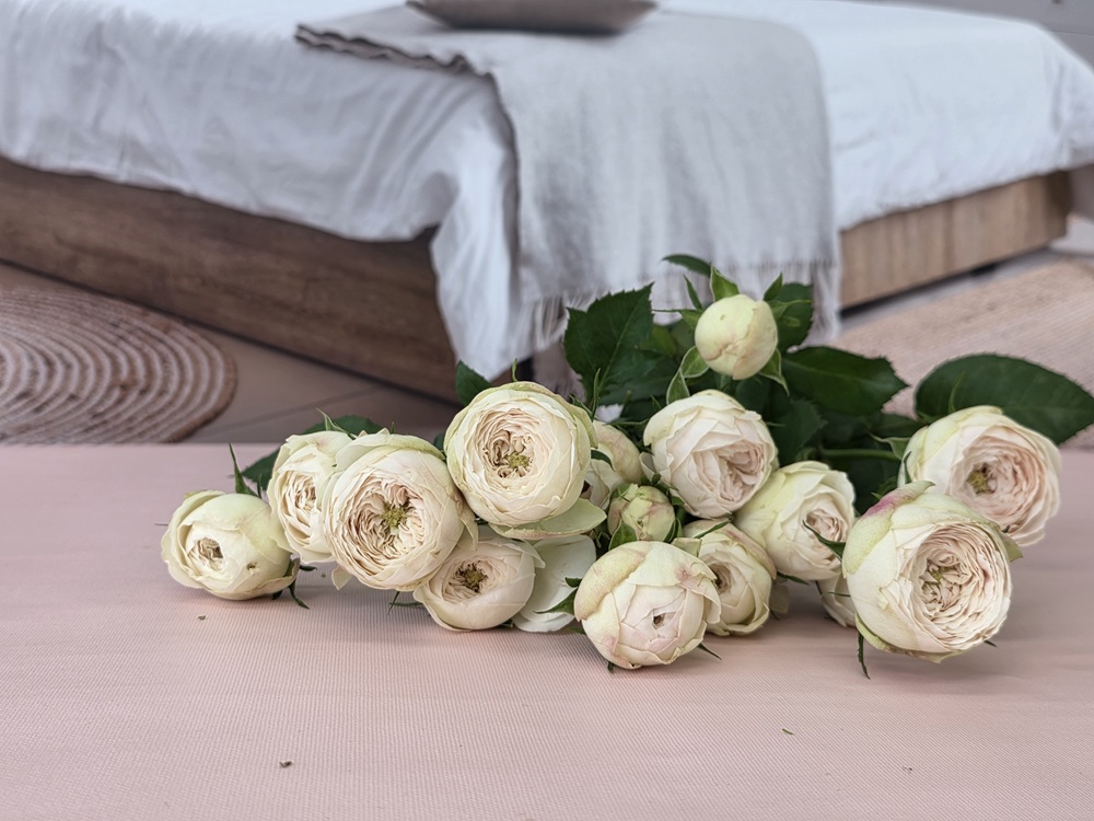 유스풀몰 맨스필드 한다발 졸업 발렌타인 꽃 생화 택배 꽃배달싼곳