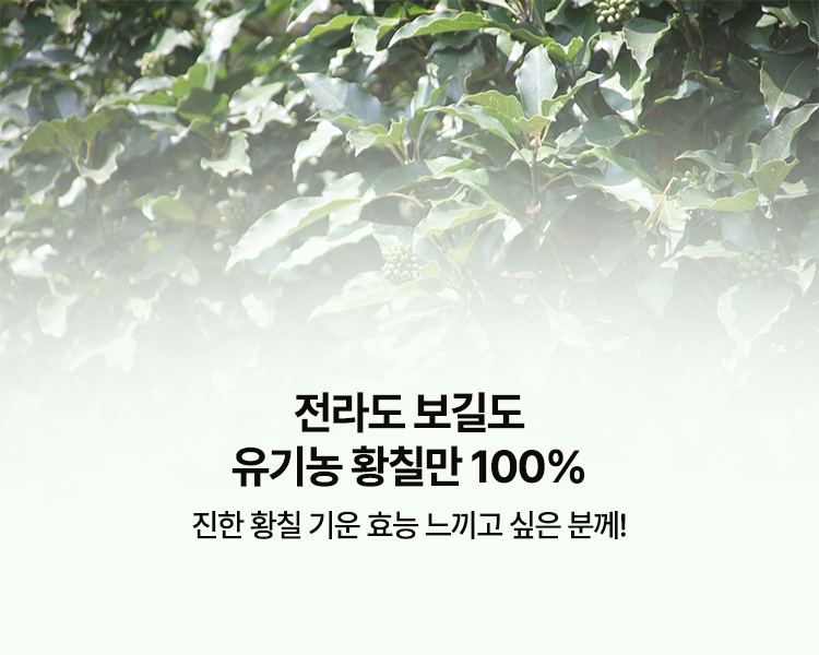 정병석 명인 황칠 진액 골드 30포 4박스 총 120포 30년 숙련자 제조 유기농100% - 상세 이미지 2