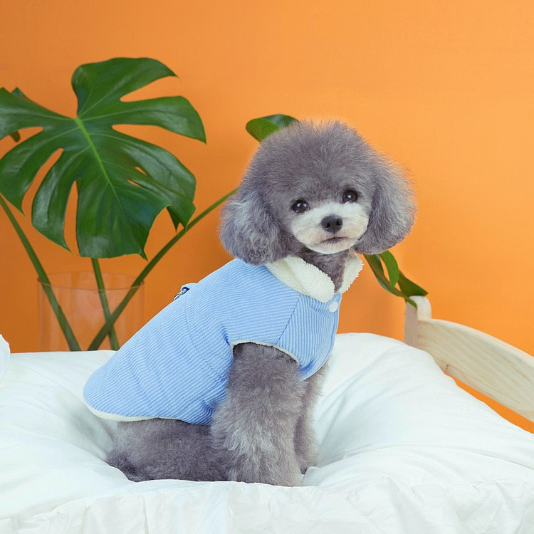 강아지 겨울옷 코듀로이 기모 조끼 - 상세 이미지 4