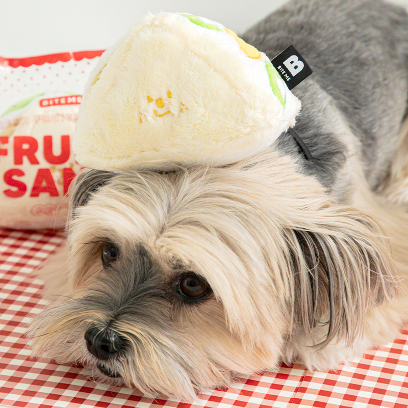 바잇미 후르츠산도 강아지 장난감 (삑삑/바스락/노즈워크)