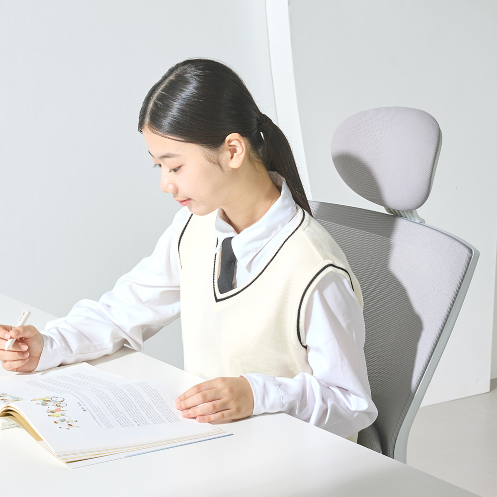 체어스코 에르고 바른 자세교정 컴퓨터의자 사무용 사무실 학생 공부 책상의자 상품 이미지