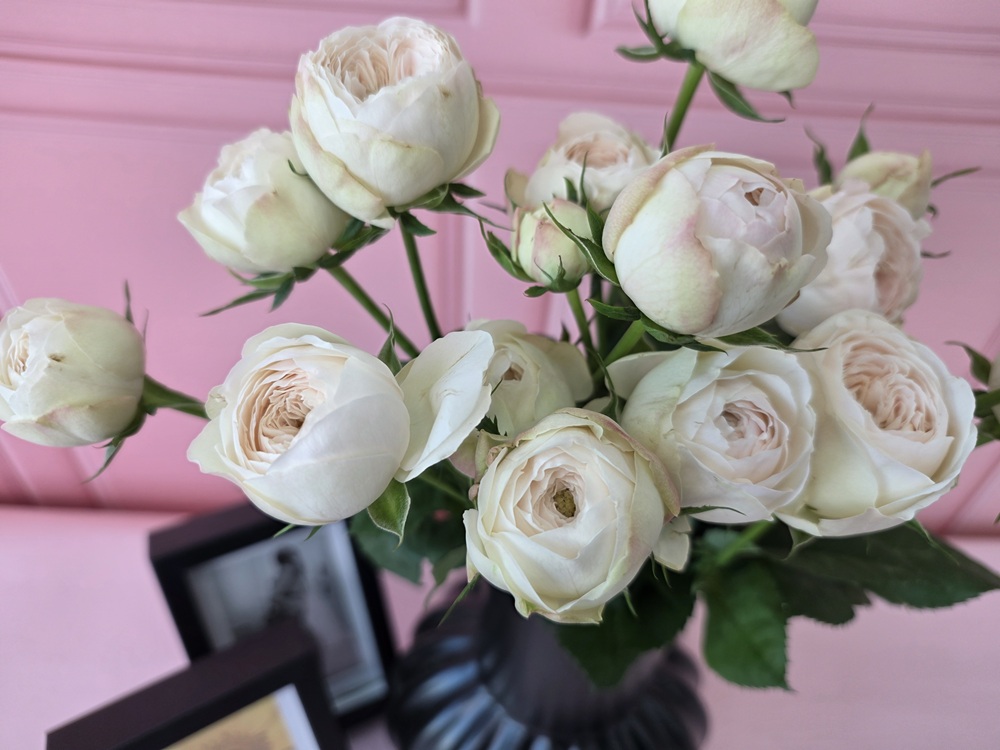 유스풀몰 맨스필드 한다발 졸업 발렌타인 꽃 생화 택배 꽃배달싼곳