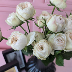 유스풀몰 맨스필드 한다발 졸업 발렌타인 꽃 생화 택배 꽃배달싼곳 솔직 후기 | 실사용자 리뷰 분석 - 상품 이미지 2