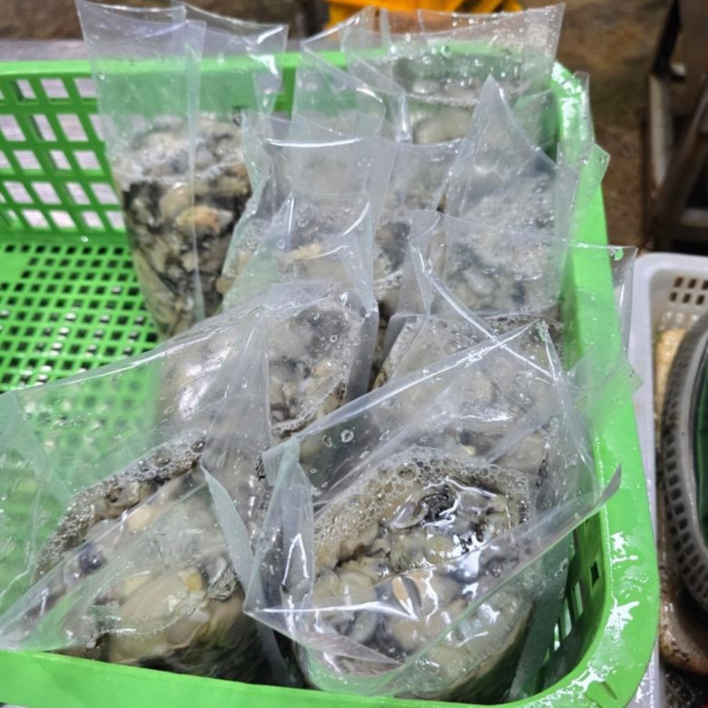 생굴 통영굴 통영 깐 굴 1kg 택배 봉지 세척 남해안 산지직송 김장 이미지 7
