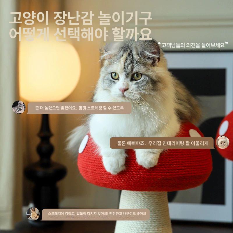 대형 중형 고양이 컬러풀 공간절약형 특대형 레드 보드 풀 시잘