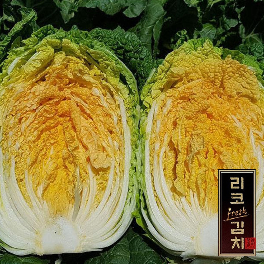 리코프레시 김치주문 금치 배추김치 2kg, 1개 - 상세 이미지 5