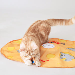 고양이 자동 장난감 타이머사냥놀이 캐치더마우스 솔직 후기 | 실제 사용자 리뷰 총정리 - 상품 이미지 3