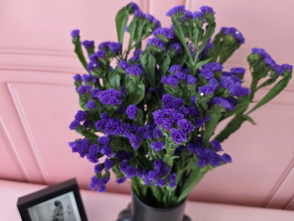 유스풀몰 생화 노랑계열스타티스 스타치스 꽃배달싼곳 꽃 훼농가돕기 이미지 2