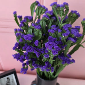 유스풀몰 생화 노랑계열스타티스 스타치스 꽃배달싼곳 꽃 훼농가돕기 솔직 후기 | 실사용자 리뷰 분석 - 상품 이미지 2