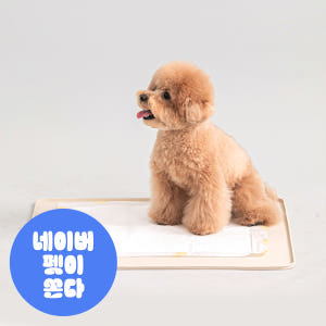 바잇미 실리콘 배변매트 강아지 강아지화장실패드 솔직 후기 | 실제 사용자 리뷰 총정리 - 상품 이미지 1