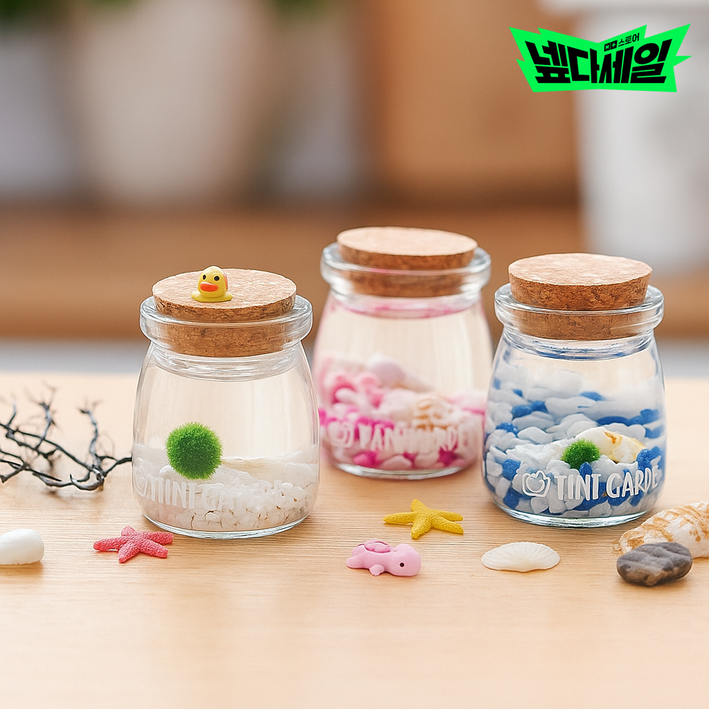 푸딩병 마리모 수중 애완 식물 키우기 DIY 세트