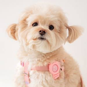 바잇미 헤잇미 밴드 (해충이 싫어하는 오일 함유) 솔직 후기 | 실제 사용자 리뷰 총정리 - 상품 이미지 1