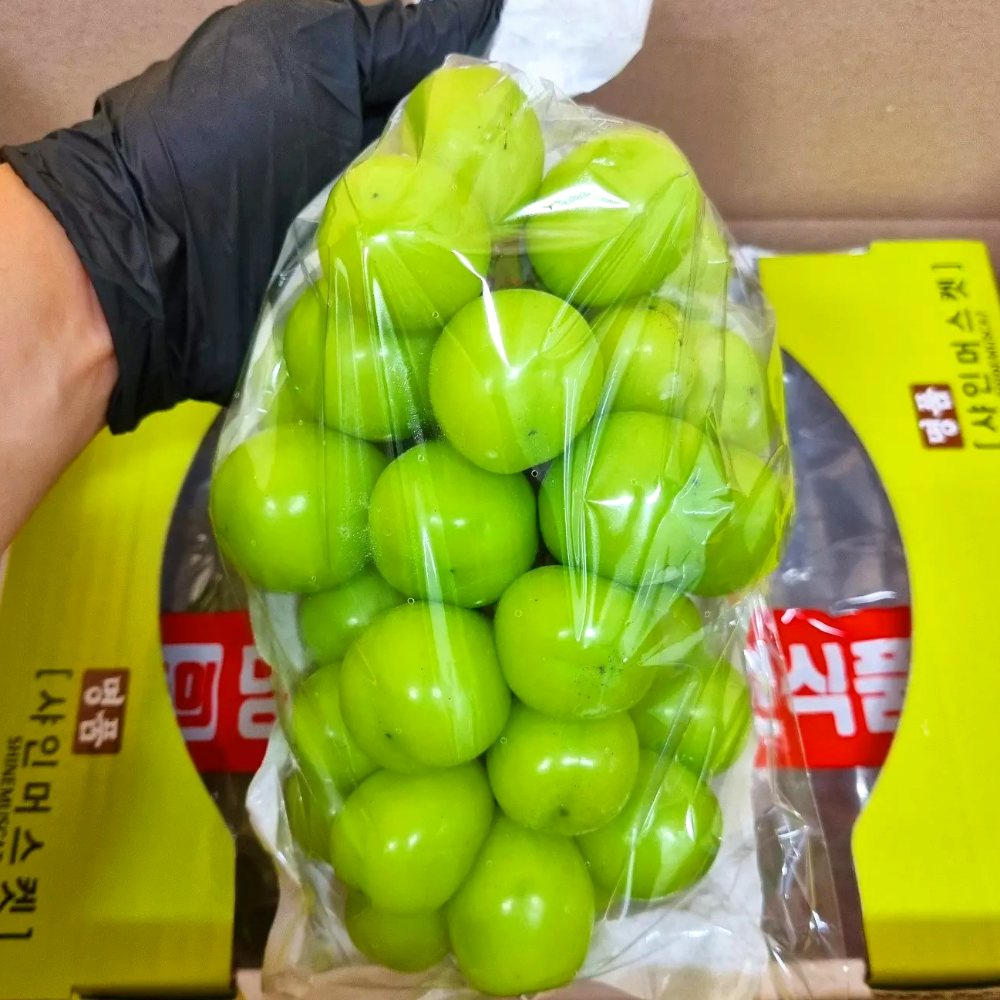 샤인머스켓 2kg 망고포도 고당도 씨없는 포도 3kg 4kg 애플 청포도 선물세트 김천 - 상세 이미지 3