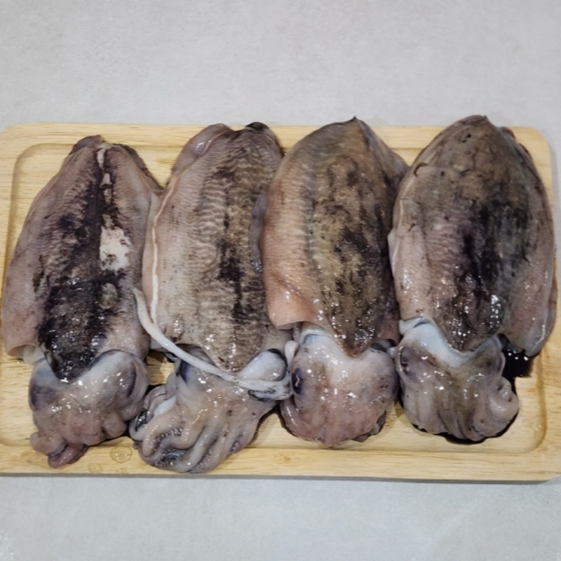 자연가득 연안 급냉 초대왕갑오징어 2kg 3-4 - 메인 이미지