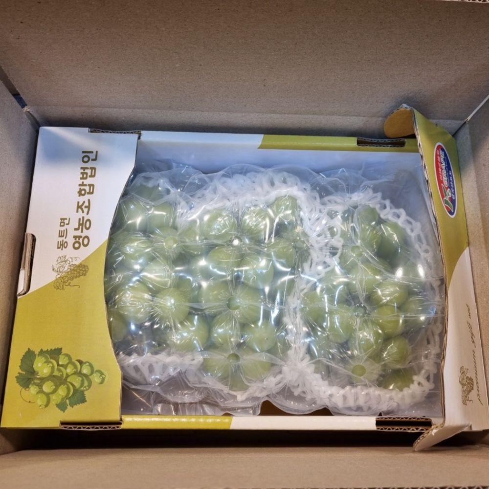 샤인머스켓 2kg 망고포도 고당도 씨없는 포도 3kg 4kg 애플 청포도 선물세트 김천 - 상세 이미지 5