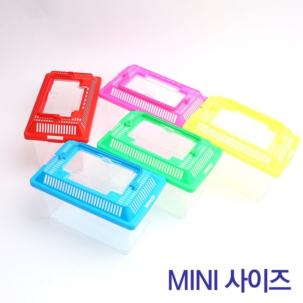 미니 곤충 채집통 관찰통 파충류 다슬기 보관 케이스 - 상품 이미지