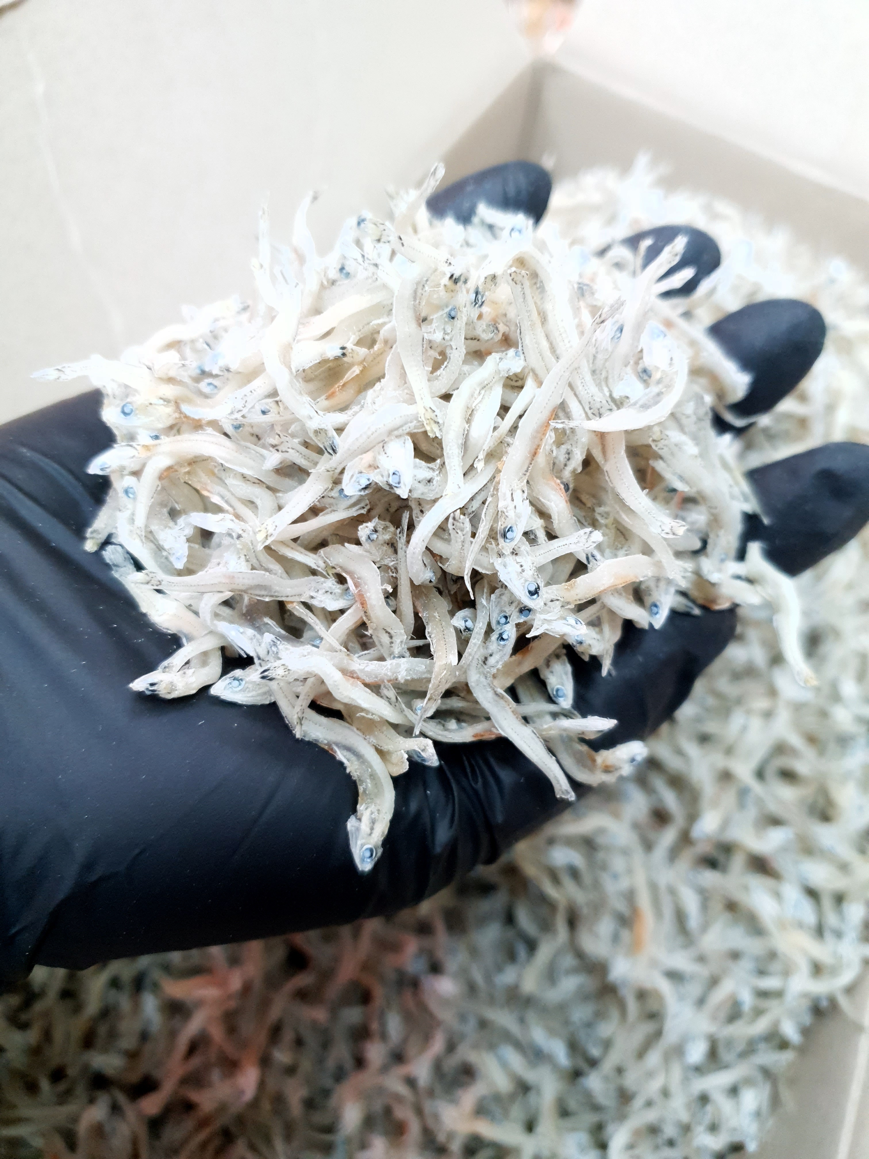 (엄마멸치) 국산 남해안 볶음용 지리멸치 잔멸치 500g, 1개 - 상세 이미지 4