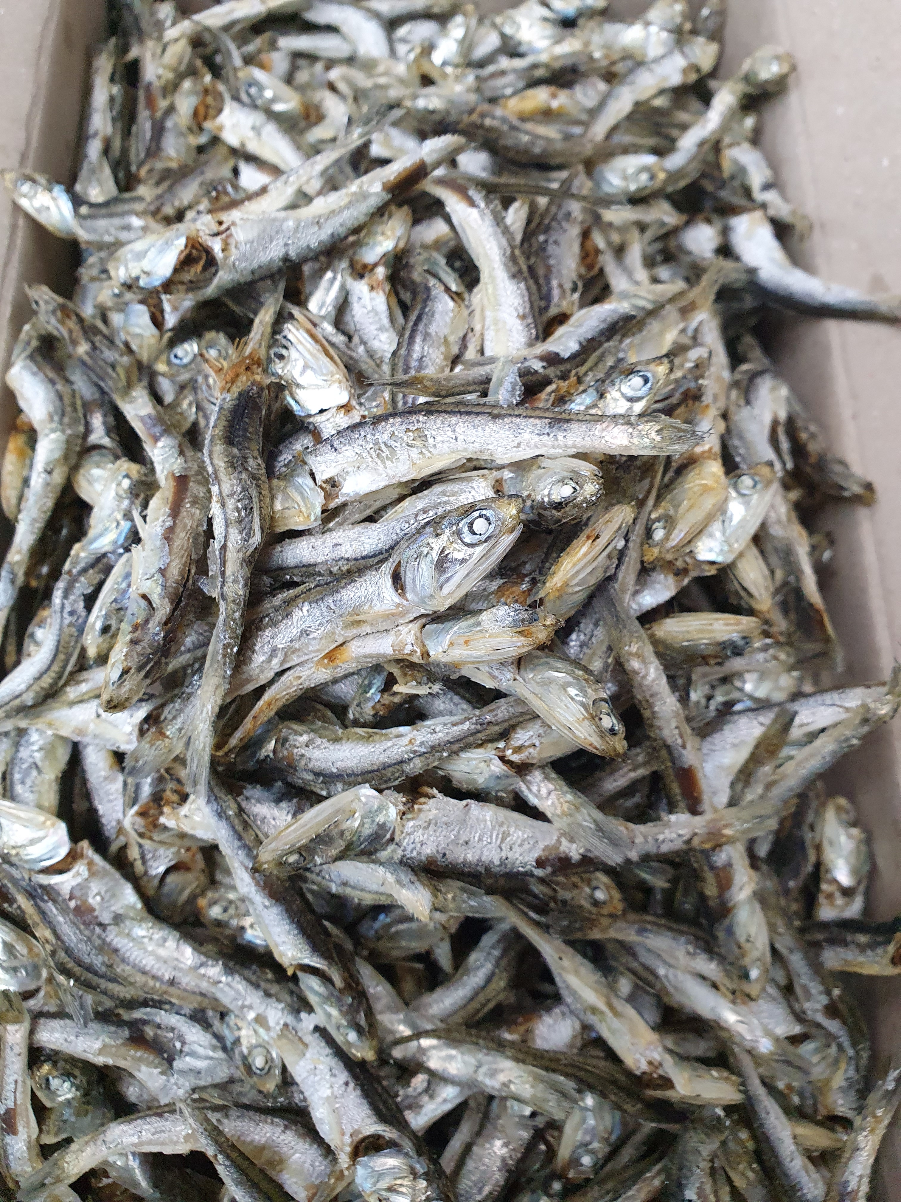 (엄마멸치) 국산 남해안 육수용 다시멸치 500g, 1개 - 상세 이미지 2