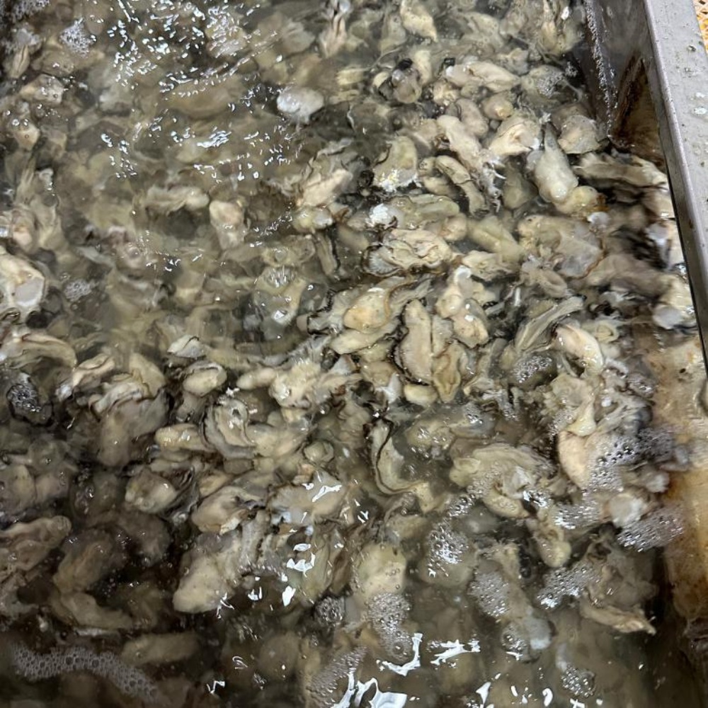 통영 생굴 통영굴 깐 굴 택배 1kg 봉지 세척 김장 남해안 산지직송 이미지 8