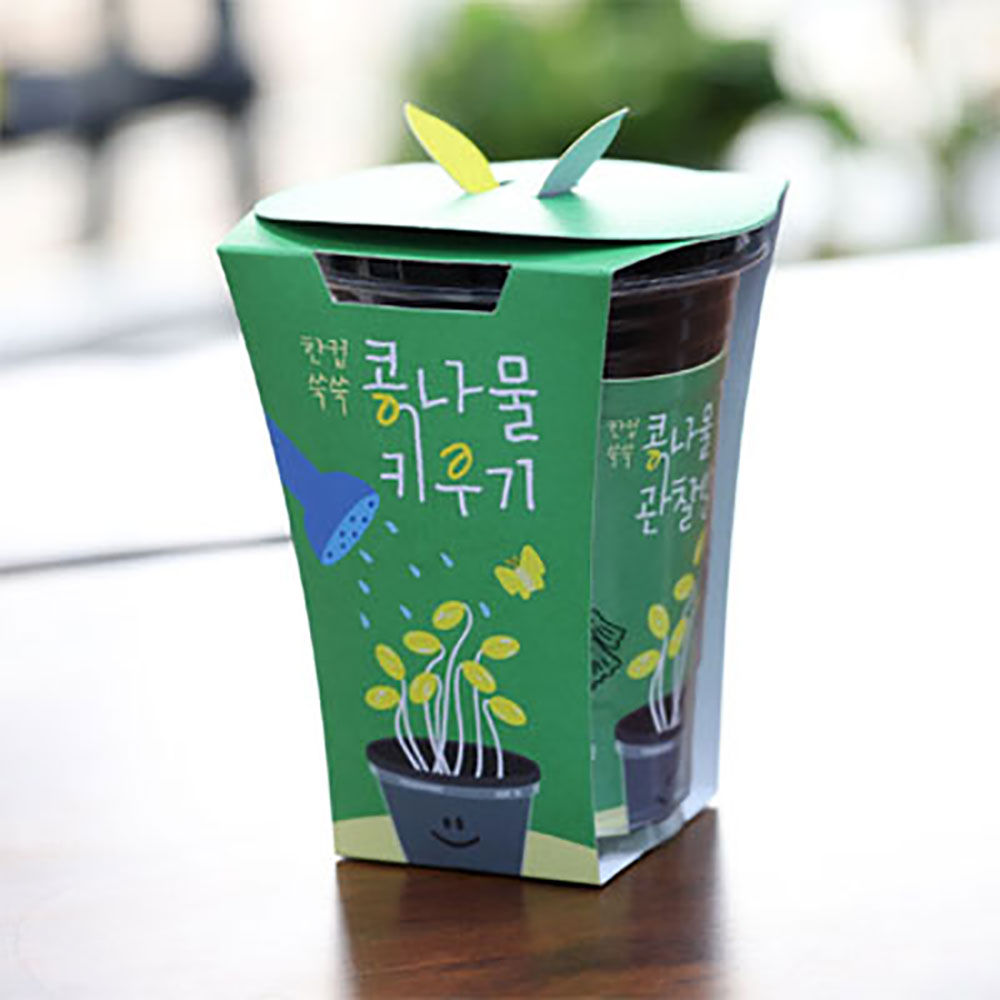 한컵쑥쑥 콩나물 키우기 키트 식물키우기 자연학습 틔움세상 - 상세 이미지 3