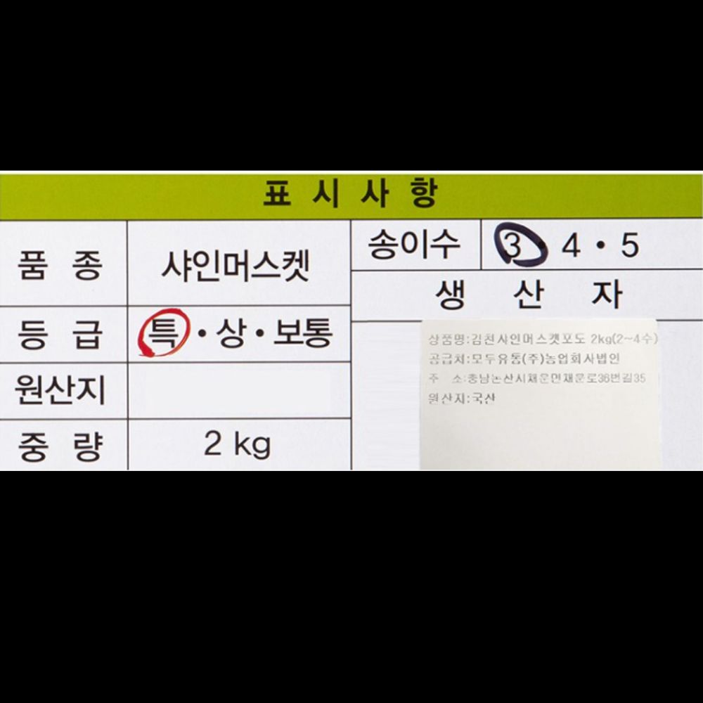 샤인머스켓 2kg 망고포도 고당도 씨없는 포도 3kg 4kg 애플 청포도 선물세트 김천 - 상세 이미지 4