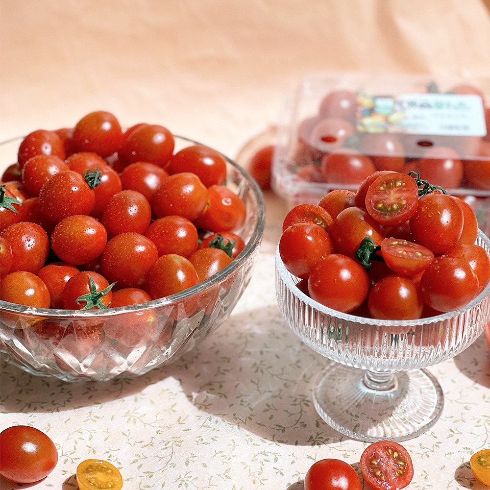 대추 방울토마토 방토 산지직송 2kg 3kg 5kg - 상세 이미지 3