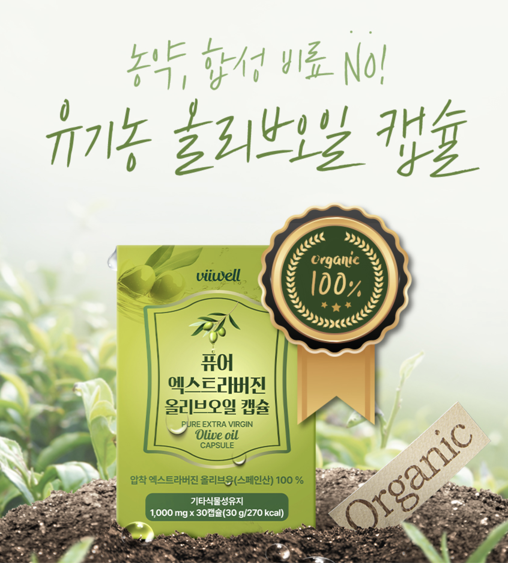 엑스트라 올리브오일 캡슐 효능 폴리페놀 지중해 올리브오일 식물성캡슐 - 상세 이미지 4