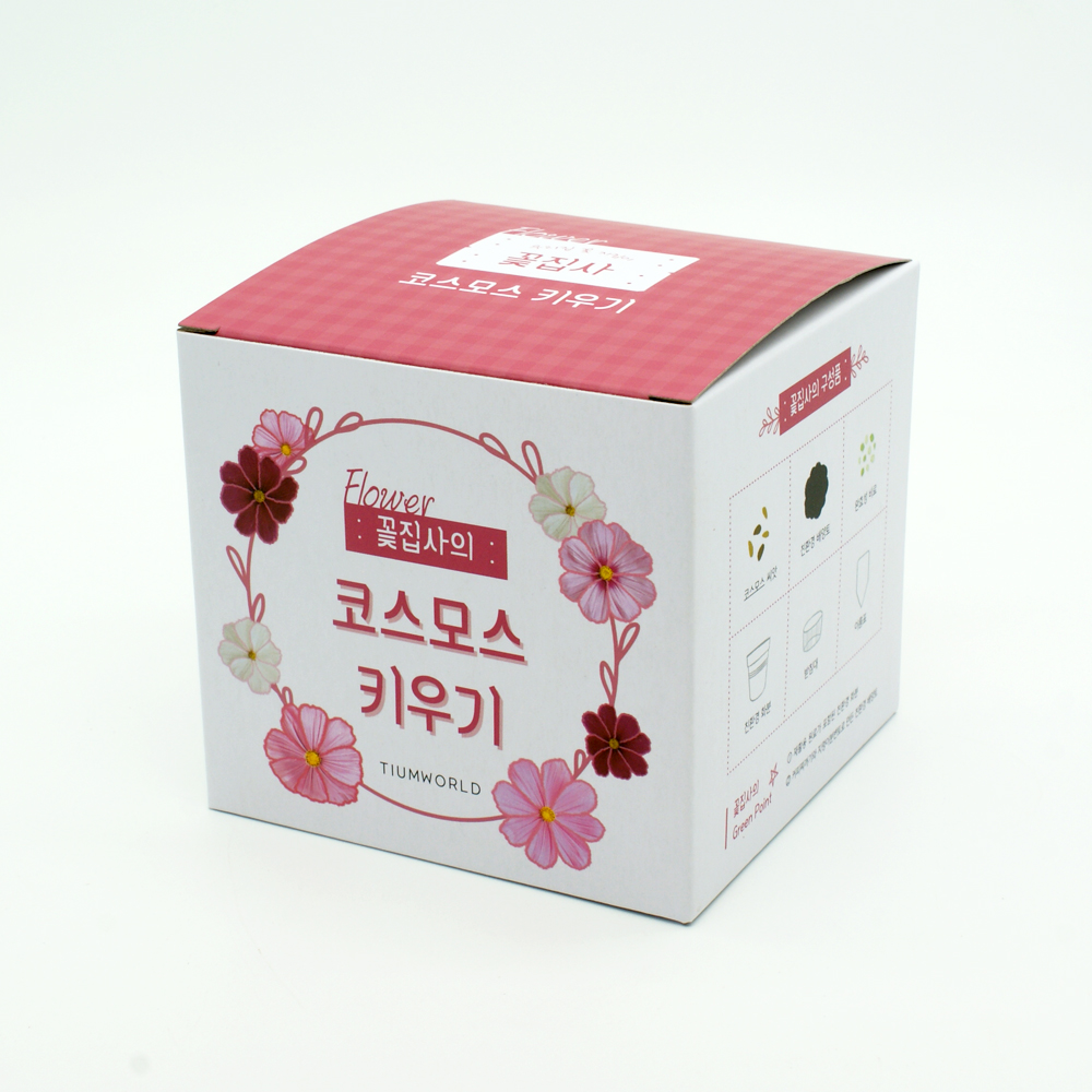 꽃집사 코스모스 키우기 식물키우기 꽃씨앗 씨앗키트 자연학습 틔움세상 - 상세 이미지 2