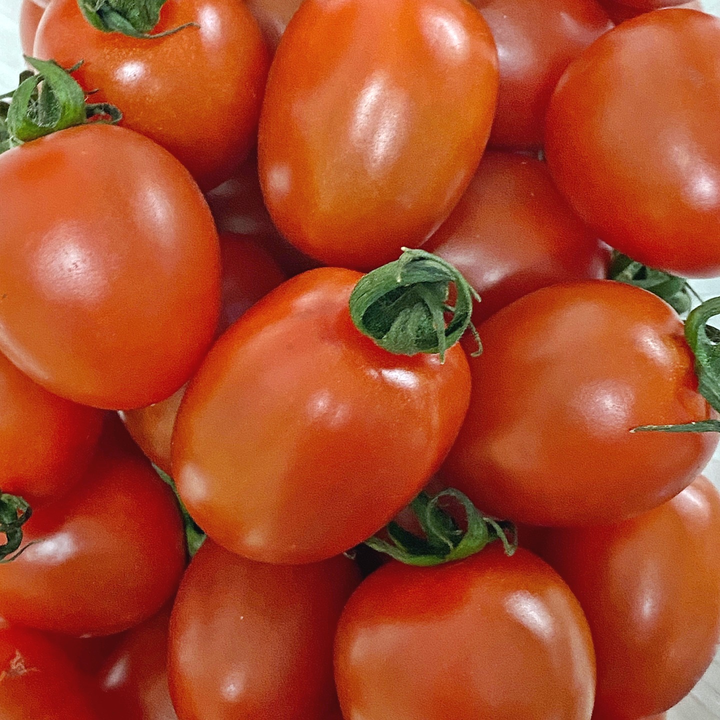 대추 방울토마토 방토 산지직송 2kg 3kg 5kg 이미지 6