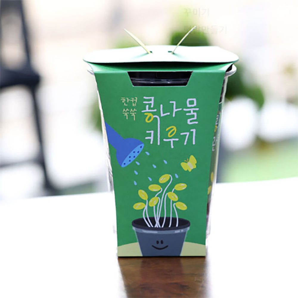 한컵쑥쑥 콩나물 키우기 키트 식물키우기 자연학습 틔움세상 - 상세 이미지 2