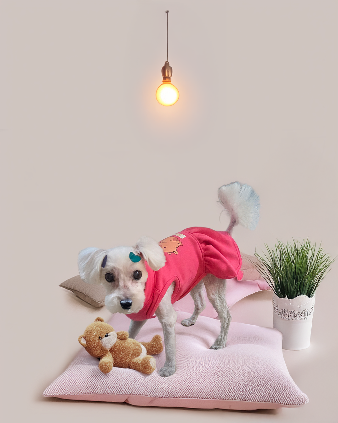 따뜻한 핑크 곰돌이 기모 원피스 강아지 원피스 귀여운 애견 겨울옷 외출복 - 상세 이미지 5