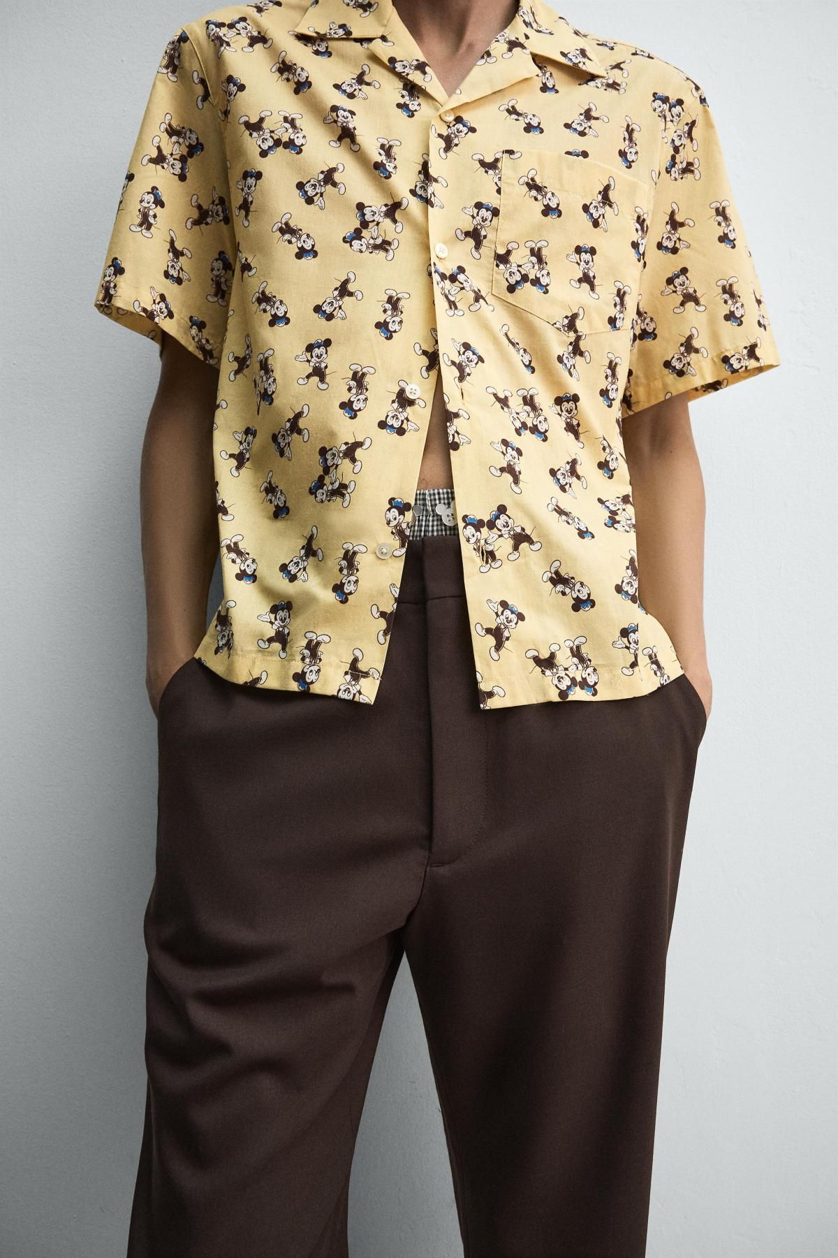 자라 플레어핏 울블렌드 부츠컷 팬츠 X 해리 램버트 디즈니 5983/525 BROWN - 상세 이미지 5