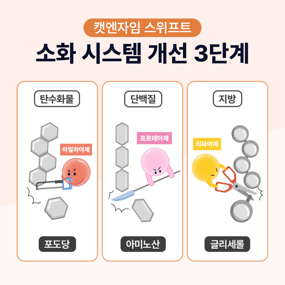 제품 비교 이미지