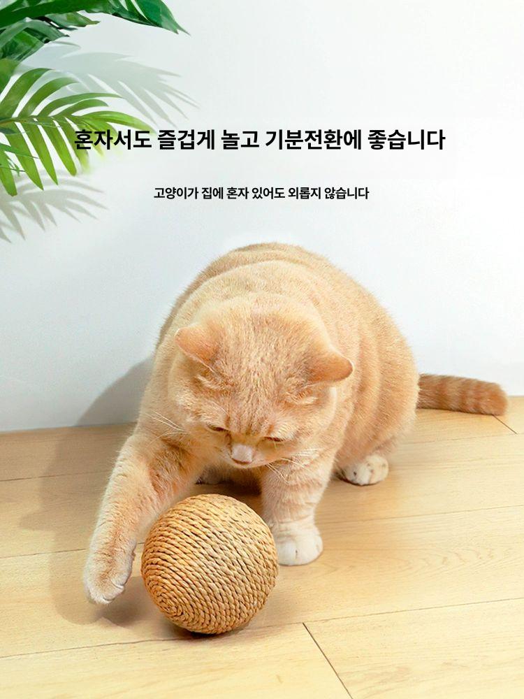 대형 고양이 장난감 스크래칭 셀프놀이 내구성 발성 씹기 용품 내추럴 10cm - 상세 이미지 3