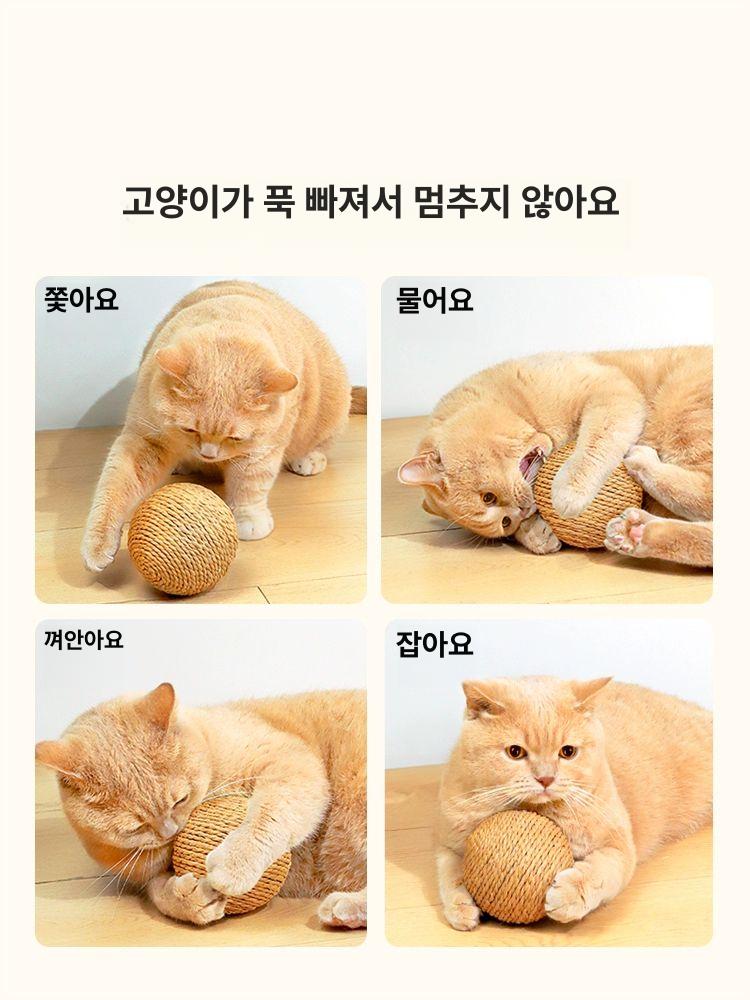 대형 고양이 장난감 스크래칭 셀프놀이 내구성 발성 씹기 용품 내추럴 10cm - 상세 이미지 5