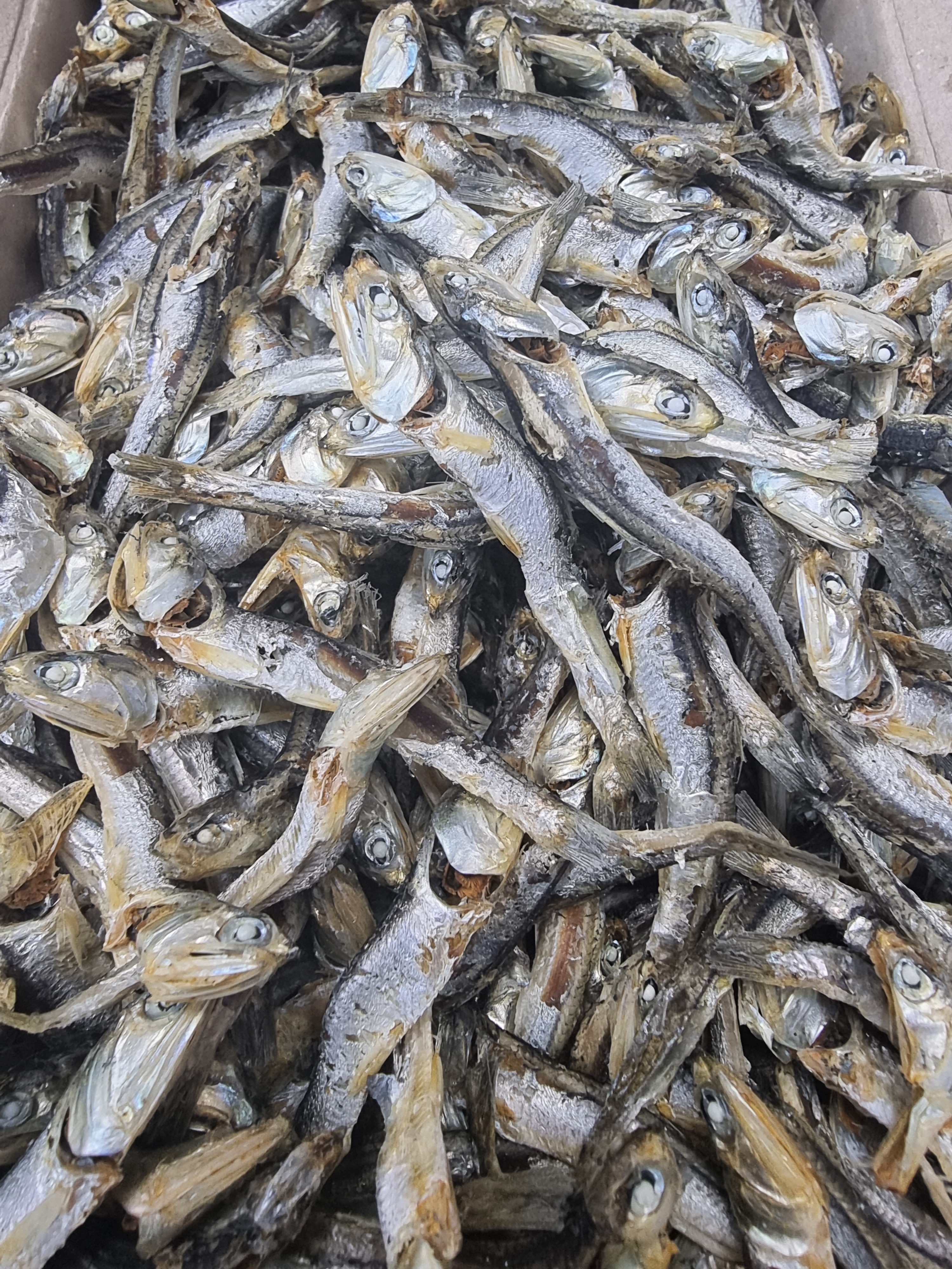 (엄마멸치) 국산 남해안 육수용 다시멸치 500g, 1개 - 상세 이미지 3