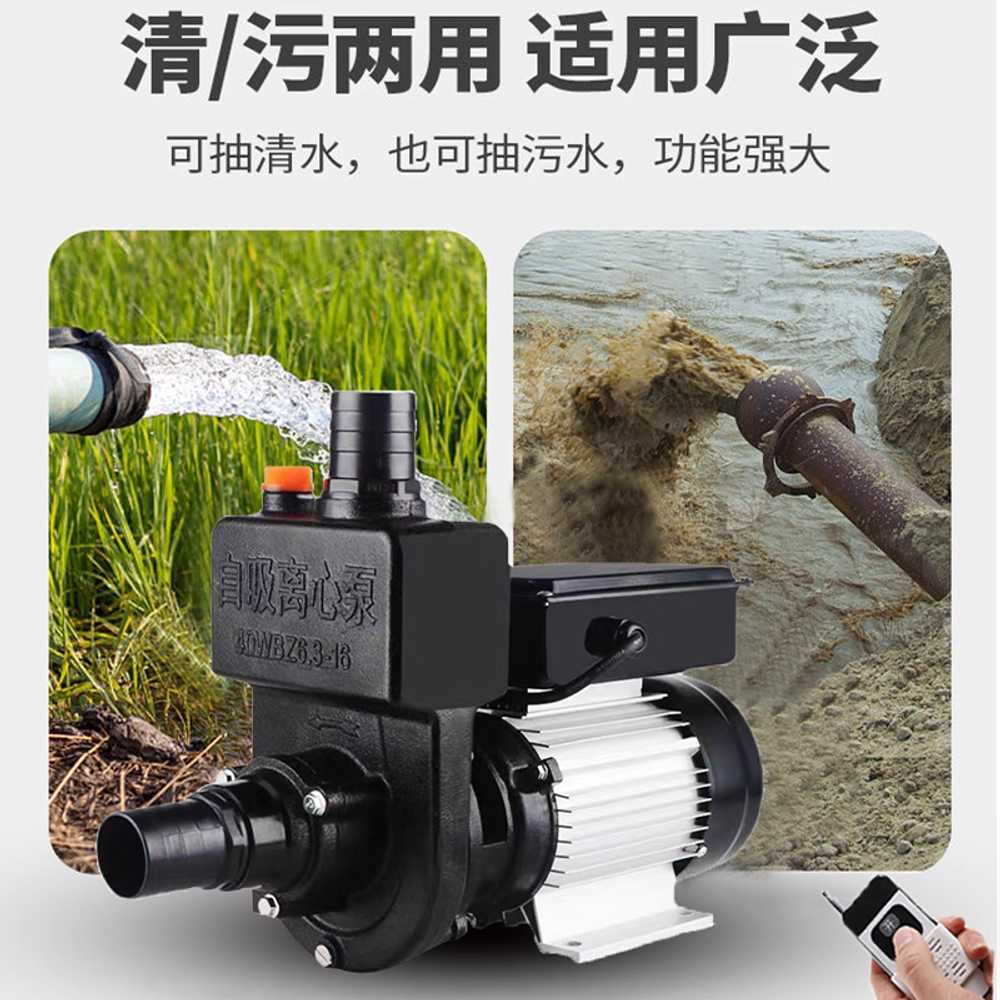 자동 캠핑카 워터펌프 물순환 정수기용 차량 청수 1100W 2인치 48-72V 리모컨 - 상세 이미지 2