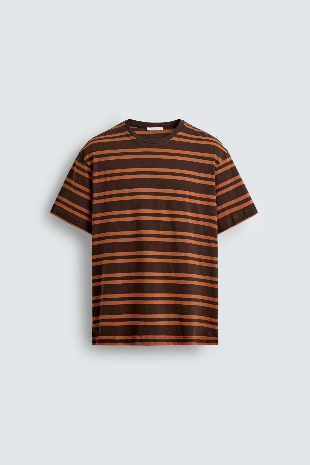 자라 캐주얼 스트라이프 자카드 반팔 티셔츠 6462/302 BROWN - 메인 이미지