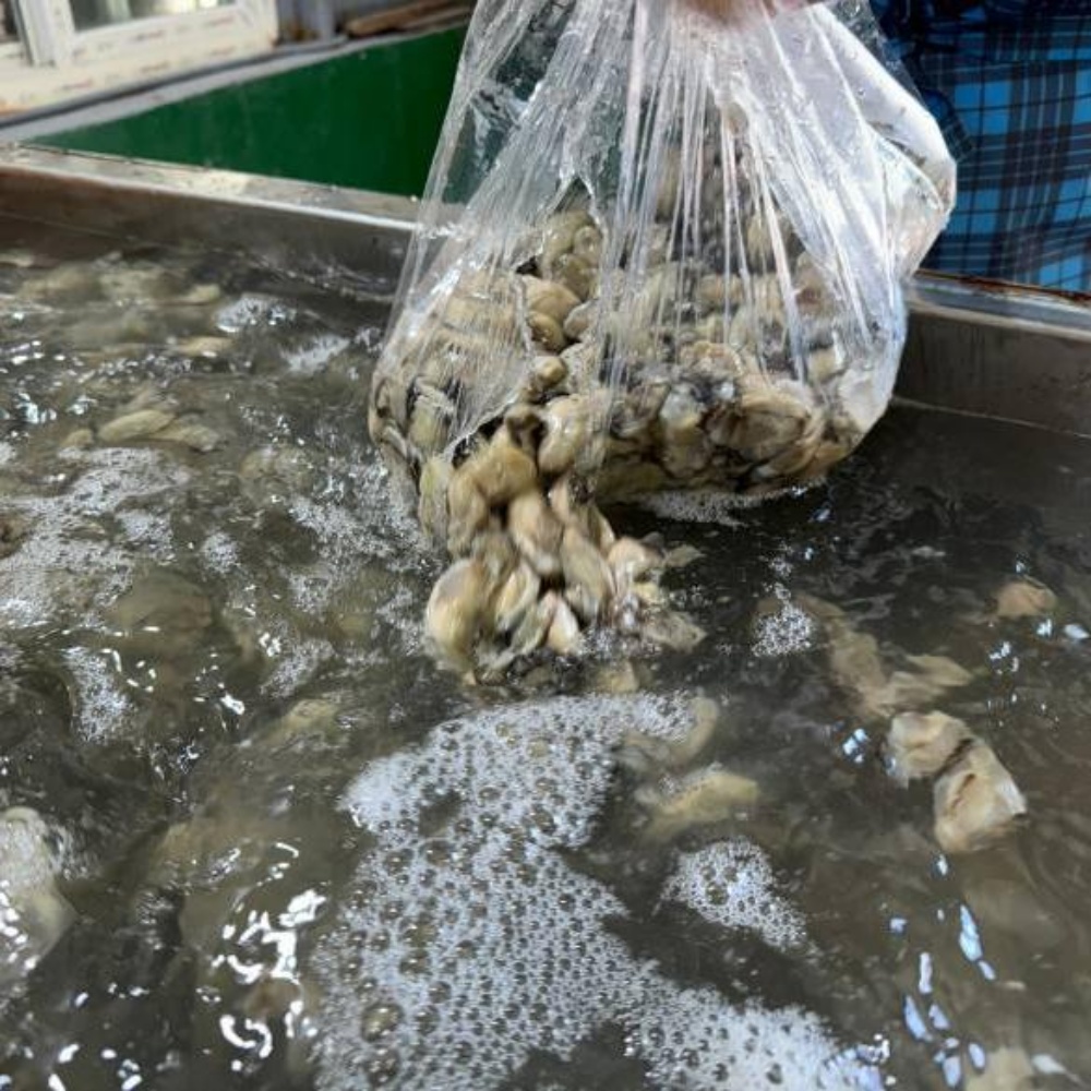 통영 생굴 통영굴 깐 굴 택배 1kg 봉지 세척 김장 남해안 산지직송 - 상품 이미지