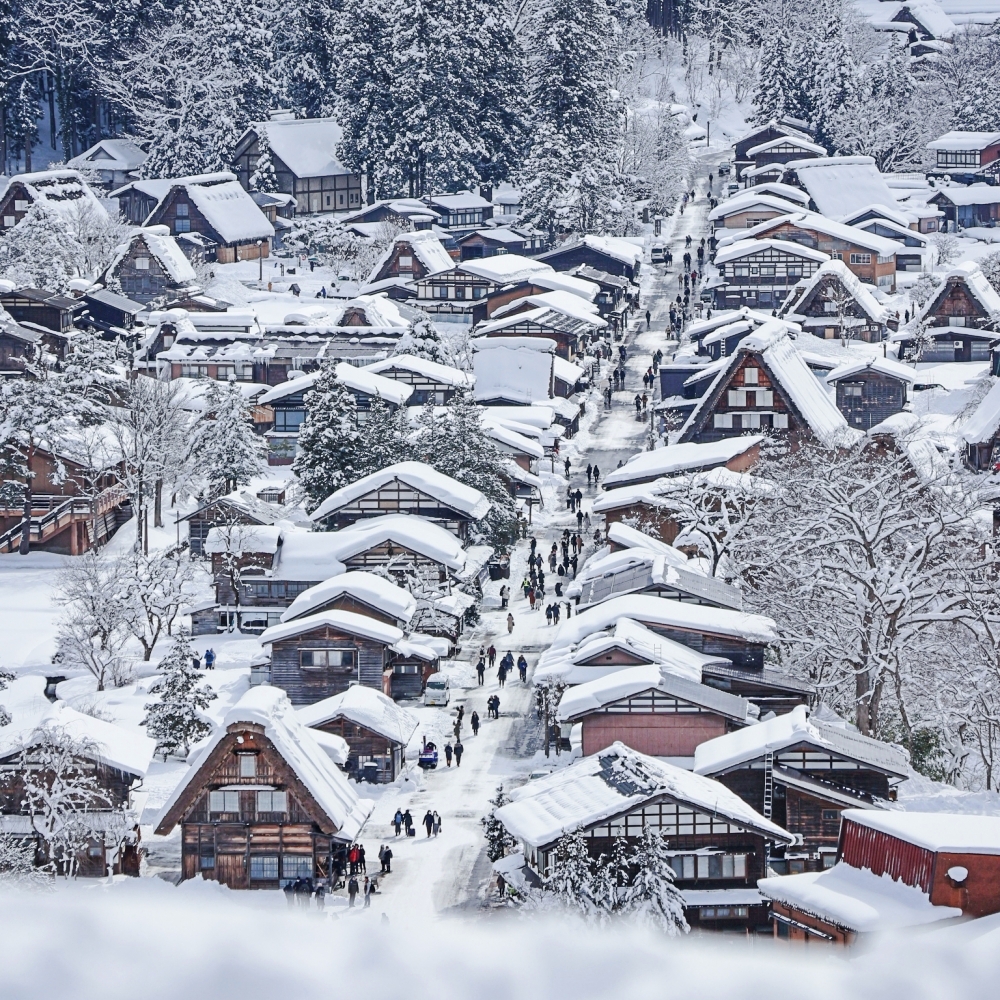 [명물간식특전] 나고야 다카야마 시라카와고 버스투어 히다규카레빵 특전