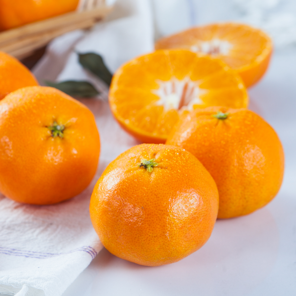 제주 감귤 노지 귤 타이벡 황금향 밀감 위미 효돈 3KG 5KG - 상세 이미지 2
