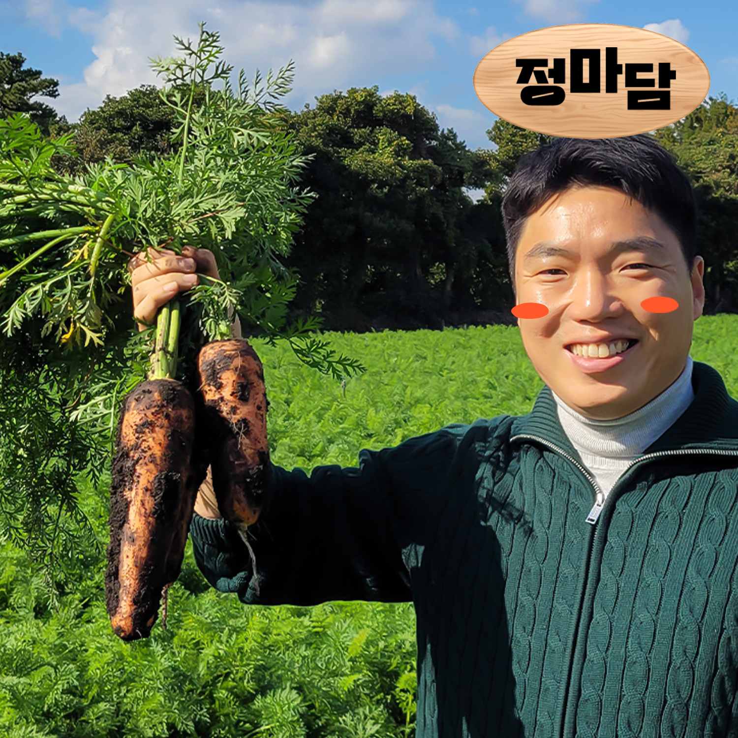 국내산 제주 구좌 햇흙당근 1kg 햇수확 신선직송 파더그로브 - 상세 이미지 2