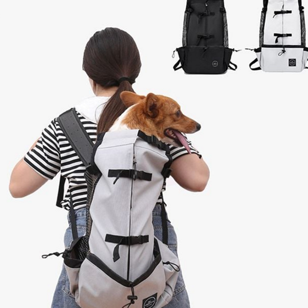 외출 강아지 이동가방 배낭 강아지 백팩 산책 캐리어 - 메인 이미지